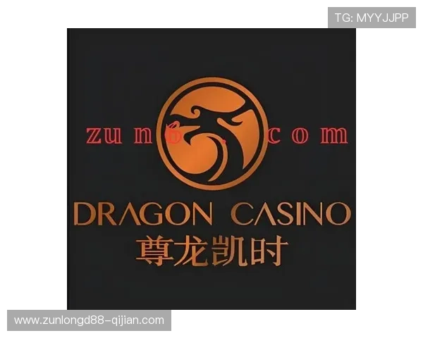 尊龙凯时z6安全登录入口的技术优势与安全防护措施，确保玩家账号信息安全无忧